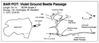 Descent 114 Bar Pot - Violet Ground Beetle Passage